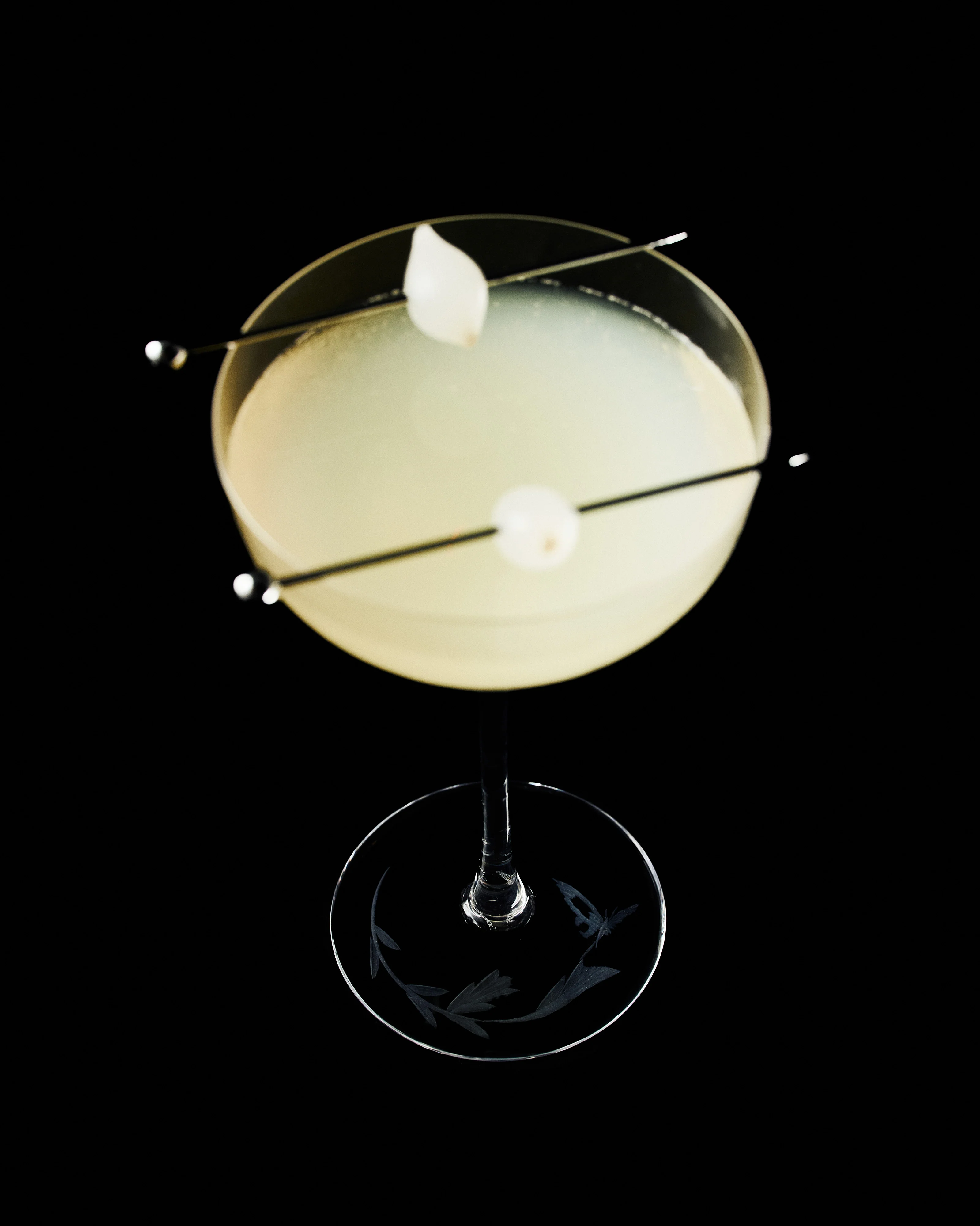 Champagne coupe dragonfly Unity - Image 2