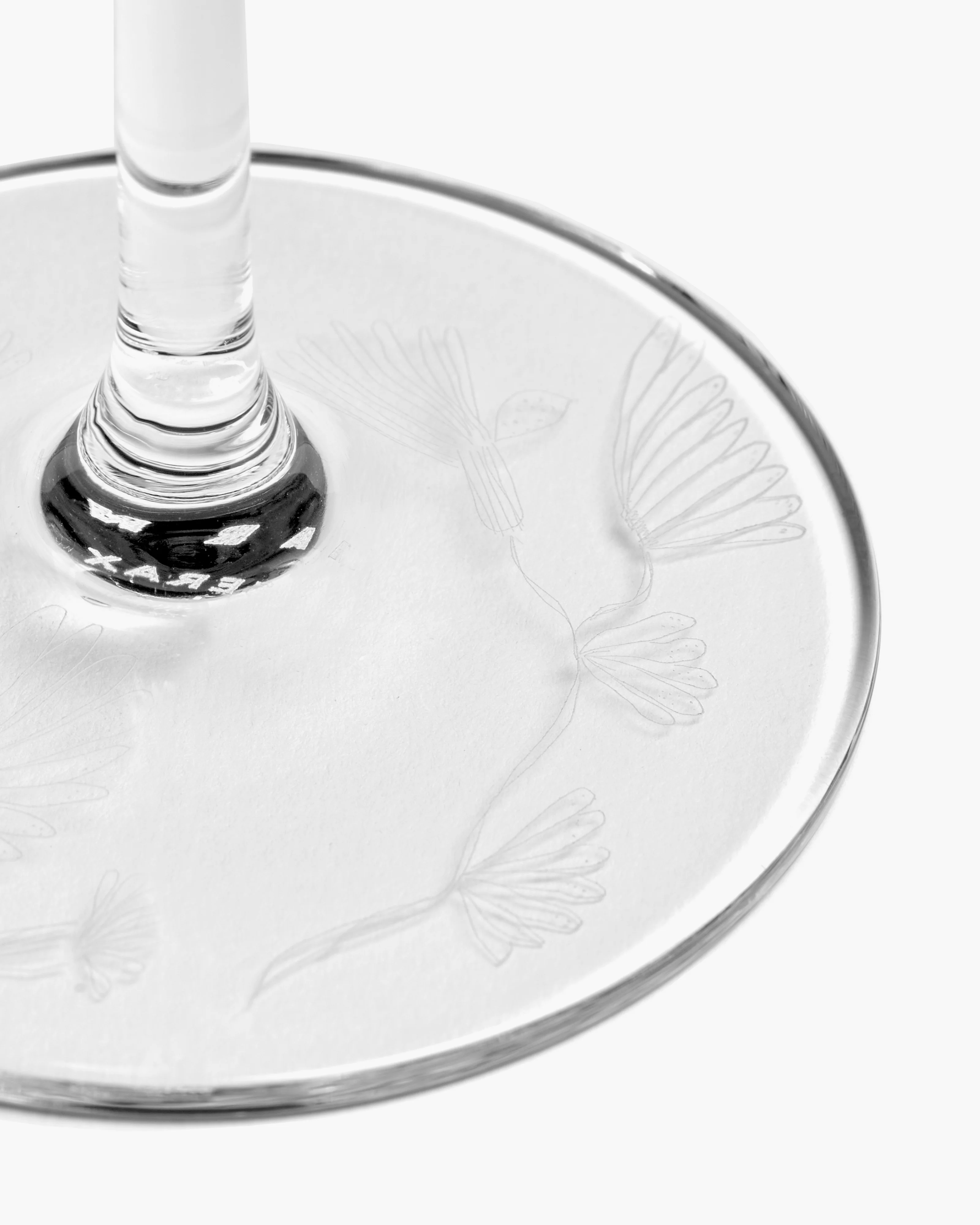 Champagne flute camelia aubergine Midnight Flowers - Image 6