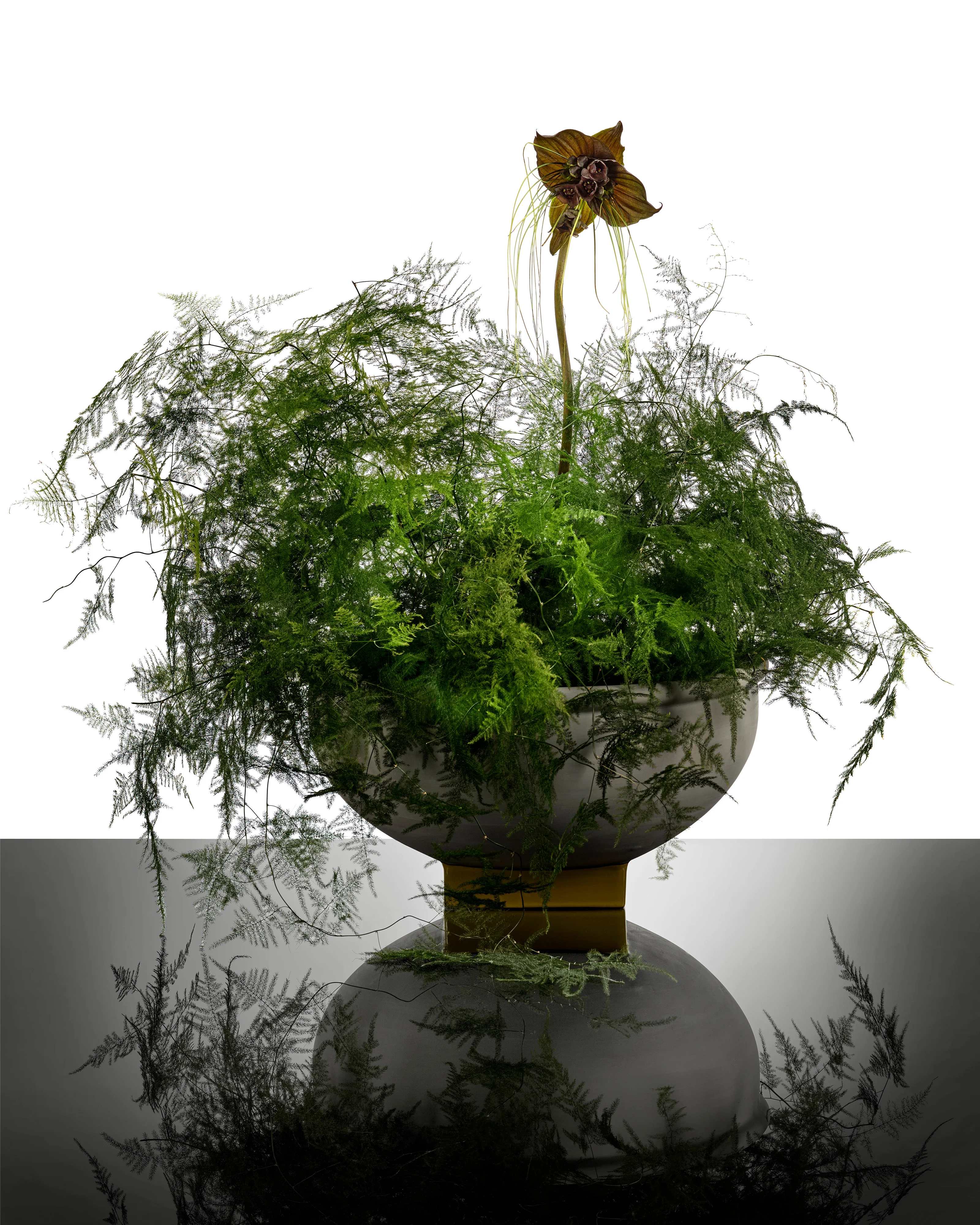 Flower Bowl 10 grey - yellow Rosamar - Image 2