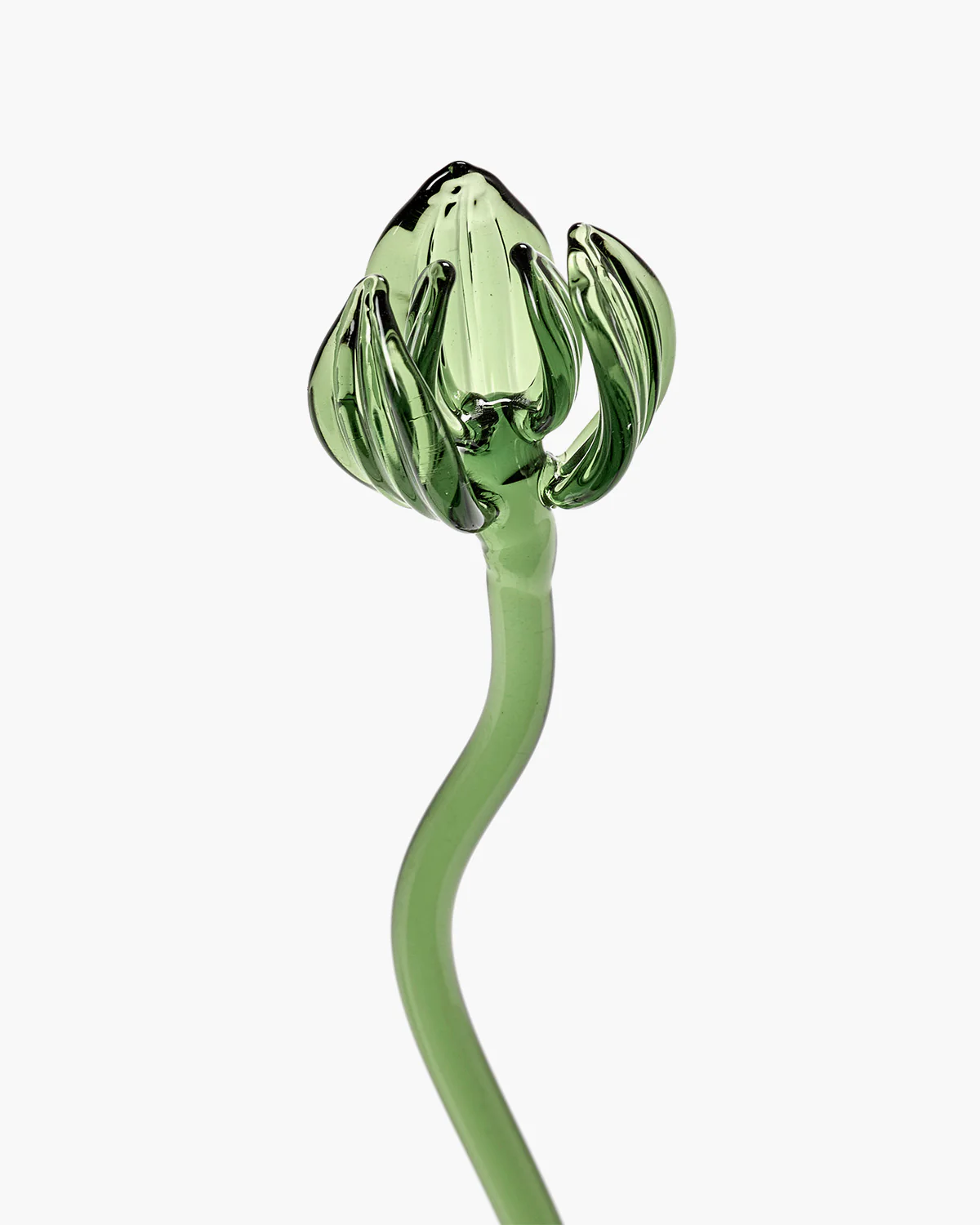 Flower Poppy 01 green Josephine - Image 3