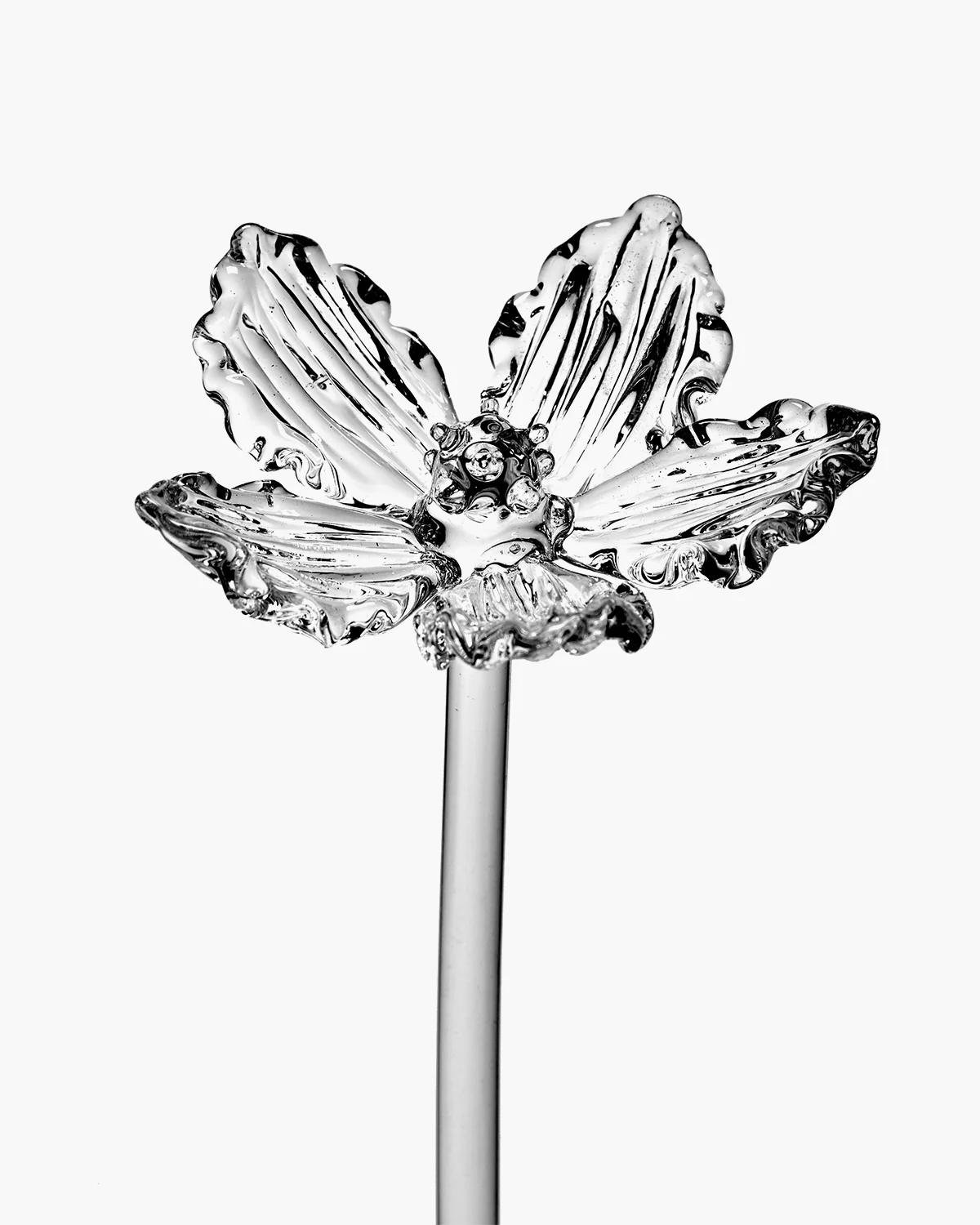 Flower Poppy 02 transparent Josephine - Image 2