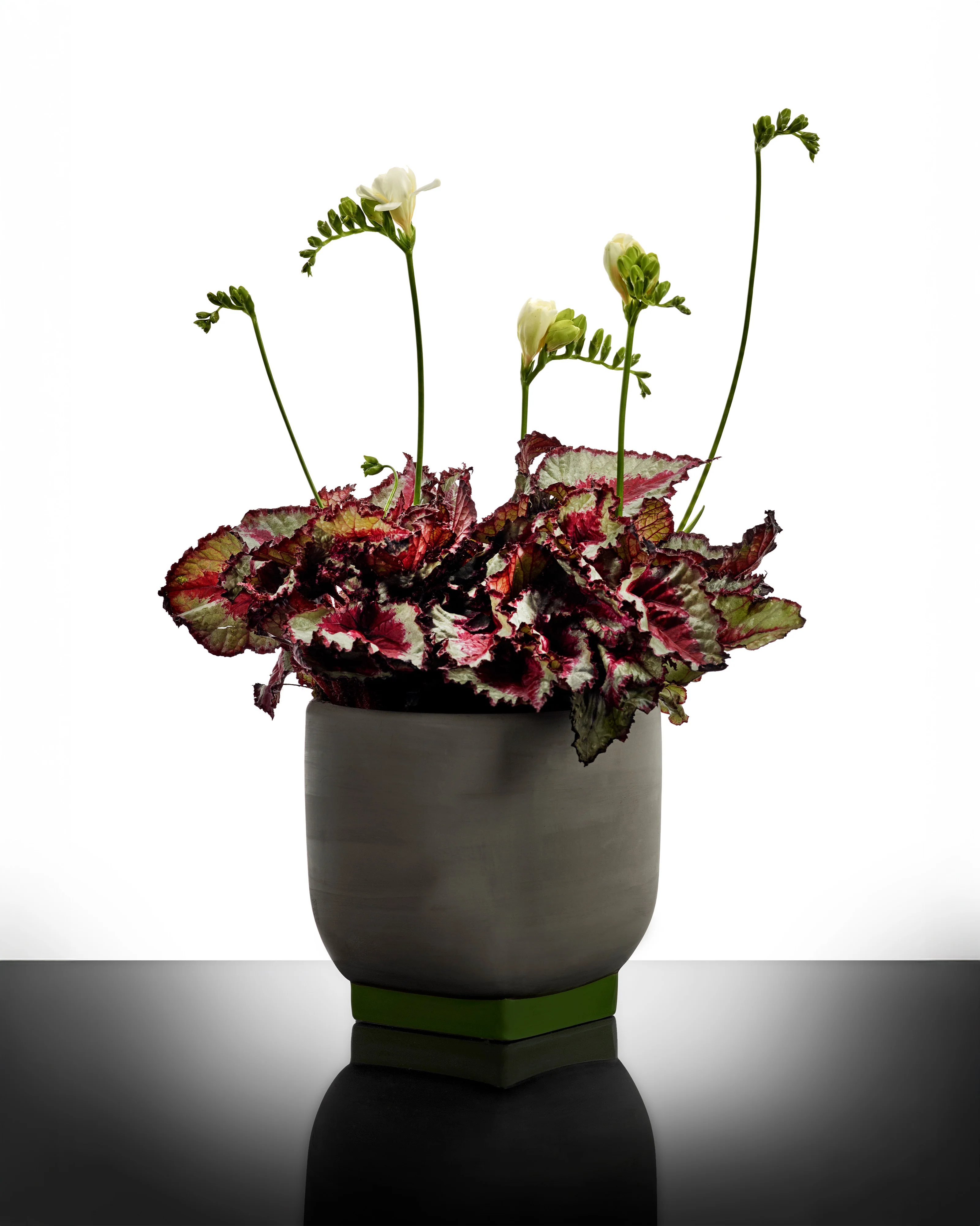 Flower pot 02 grey - green Rosamar - Image 2