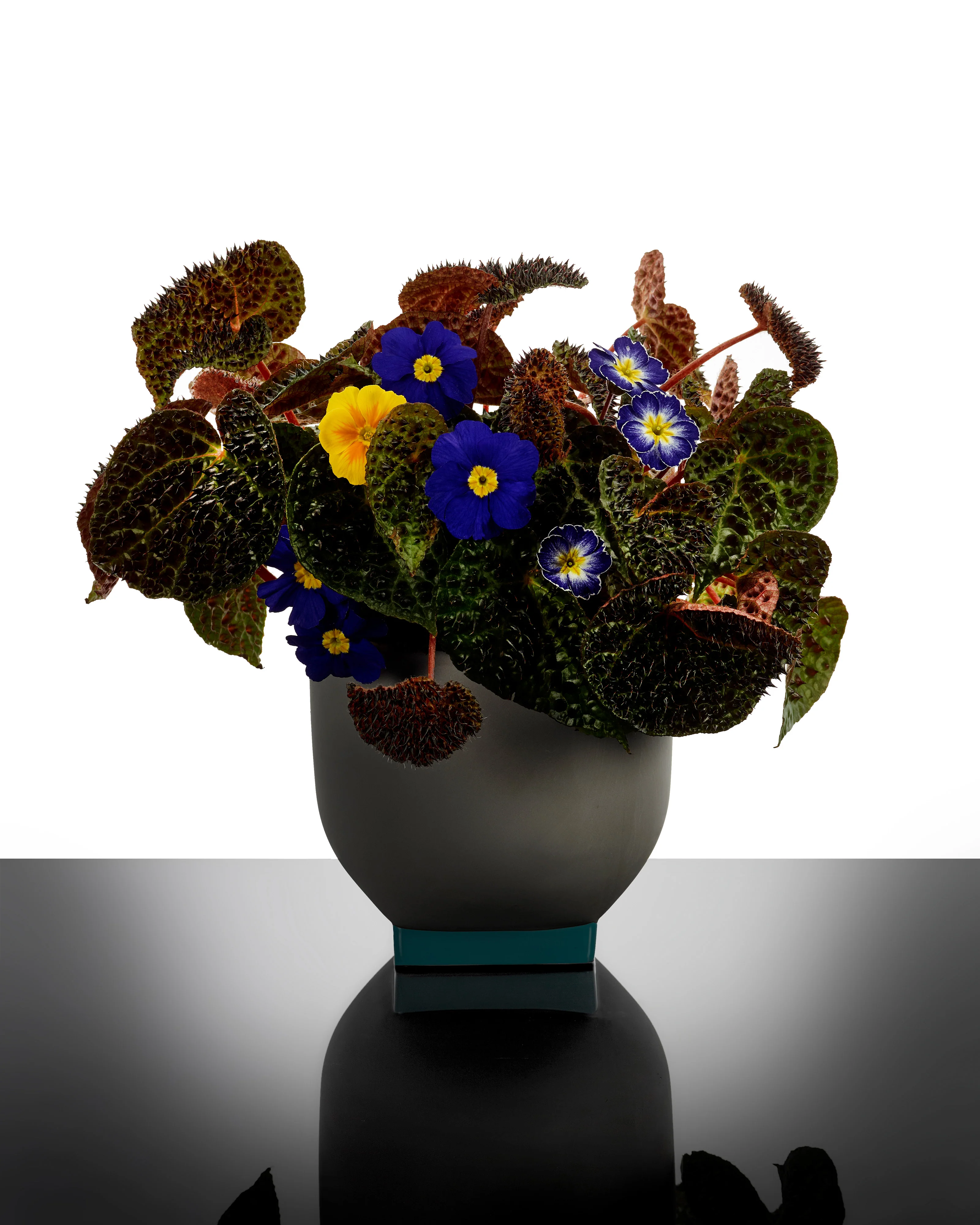 Flower pot 02 grey - turquoise Rosamar - Image 2