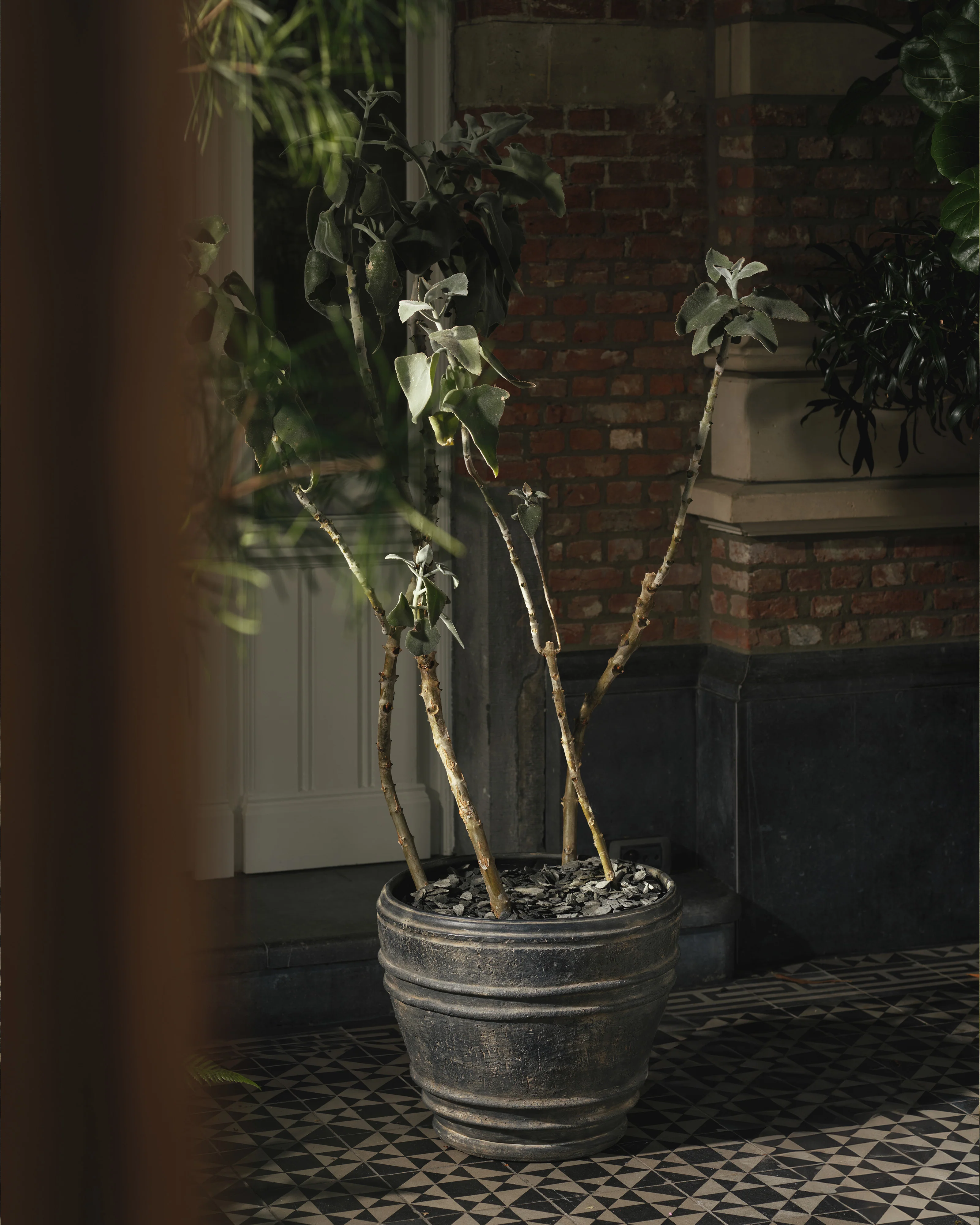 Planter 01 L black Mesa - Image 2