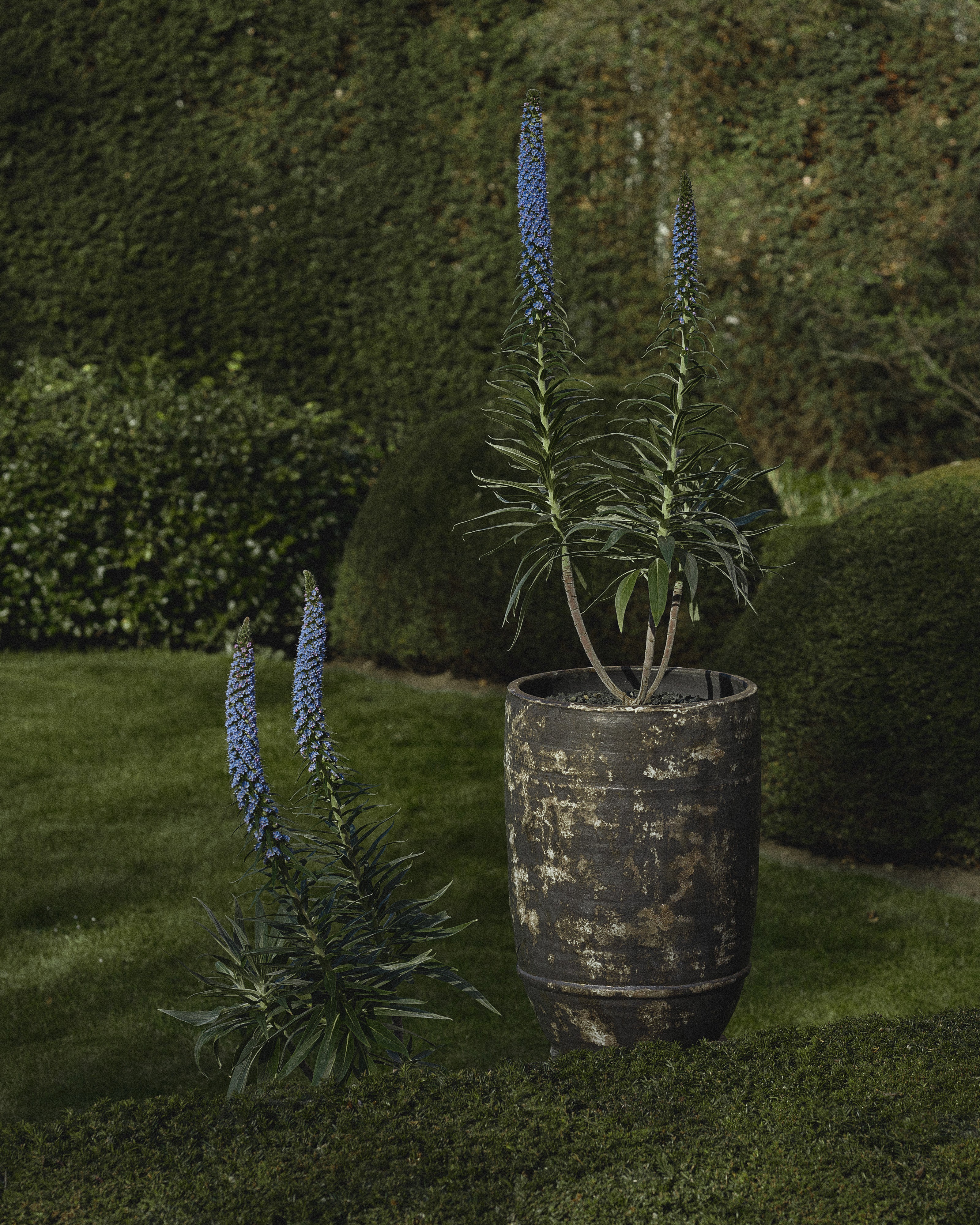 Planter 02  L dark brown Dune - Image 2