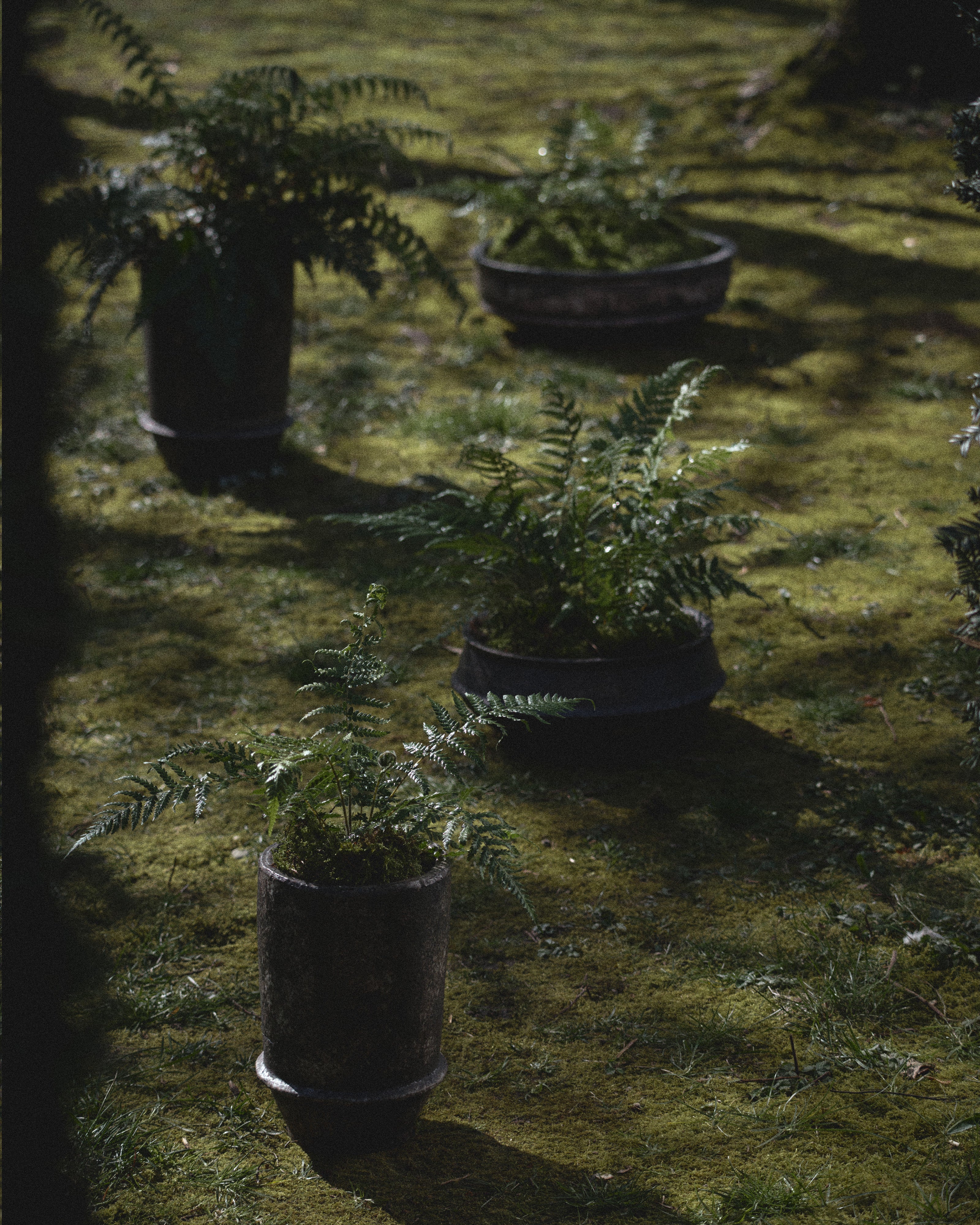 Planter 02 M dark brown Dune - Image 3