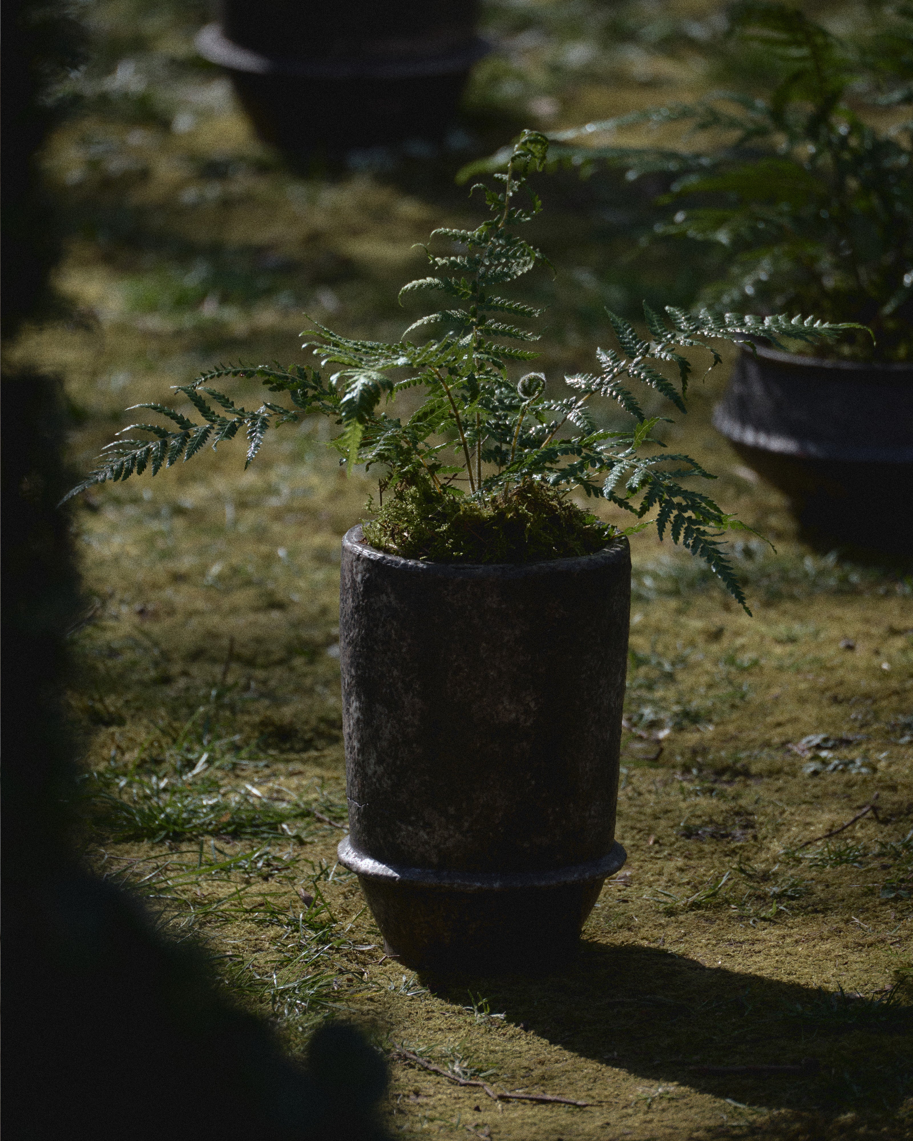 Planter 02 S dark brown Dune - Image 3