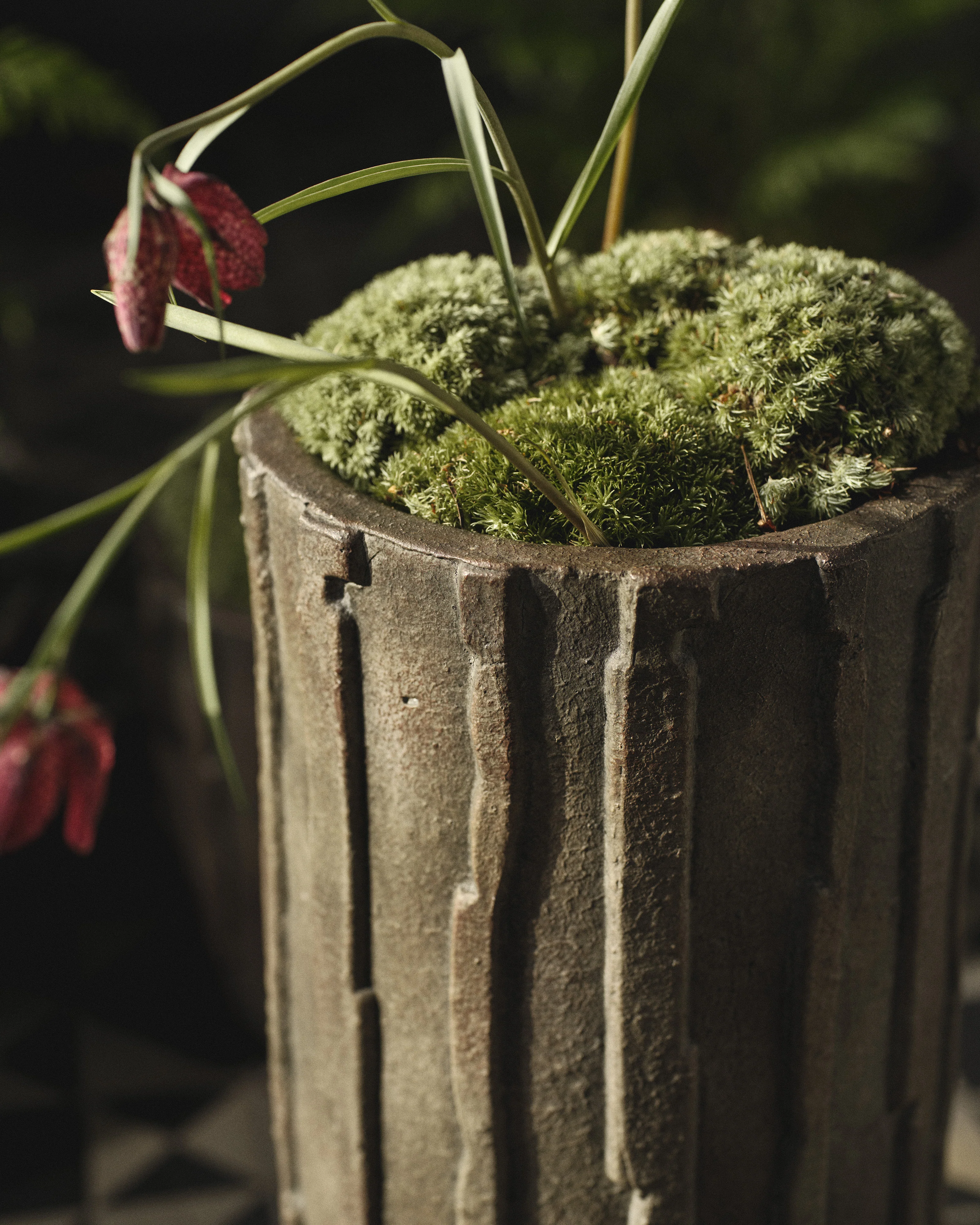 Planter 03 XL dark green Rift - Image 2