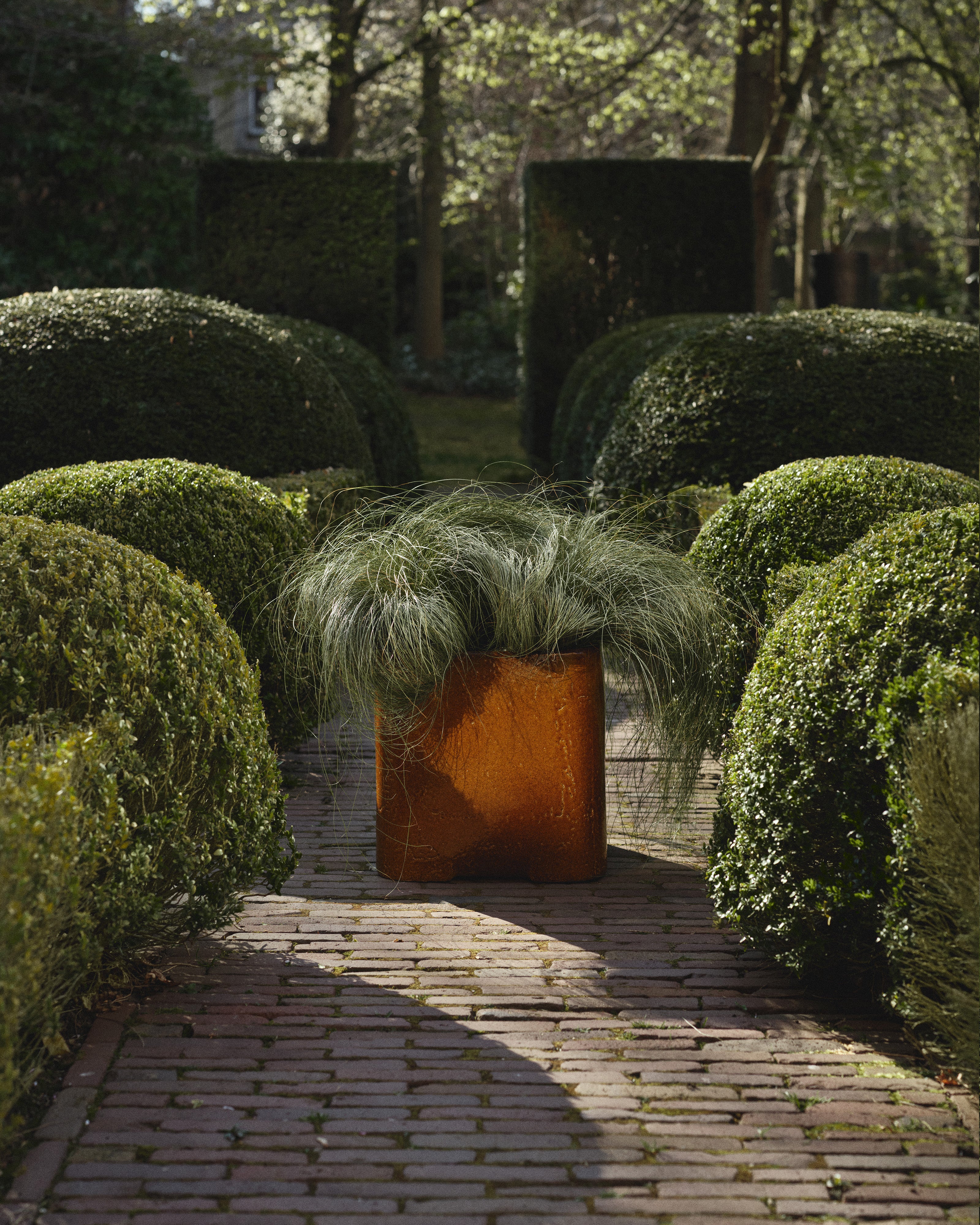Planter 04 amber Book - Image 2