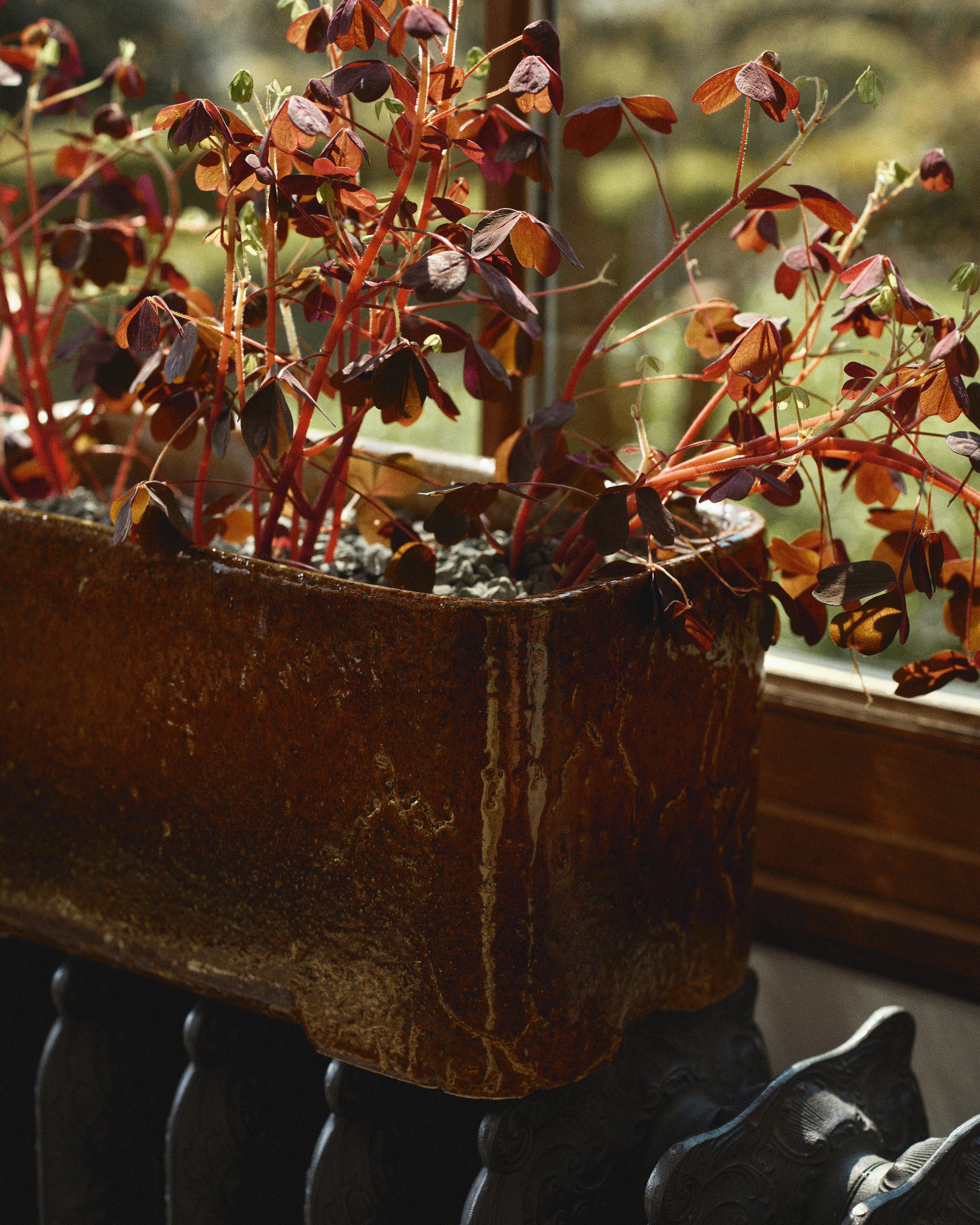 Planter low 04 amber Book - Image 3